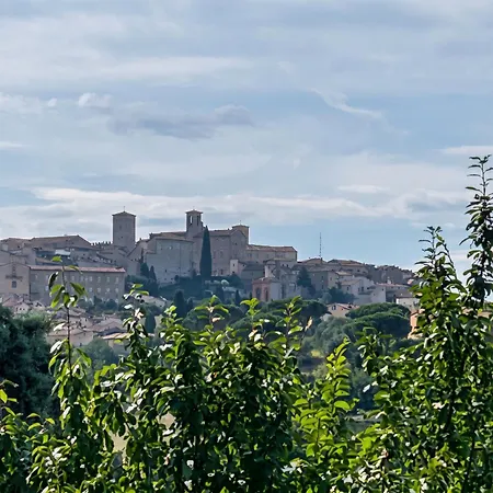 Tra Le Vie Di Appartamento Todi